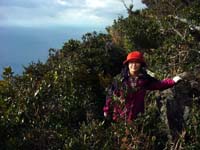 $B$@$$$V>e$KMh$^$7$?(B