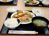 $BD+HS$O%P%$%-%s%0(B